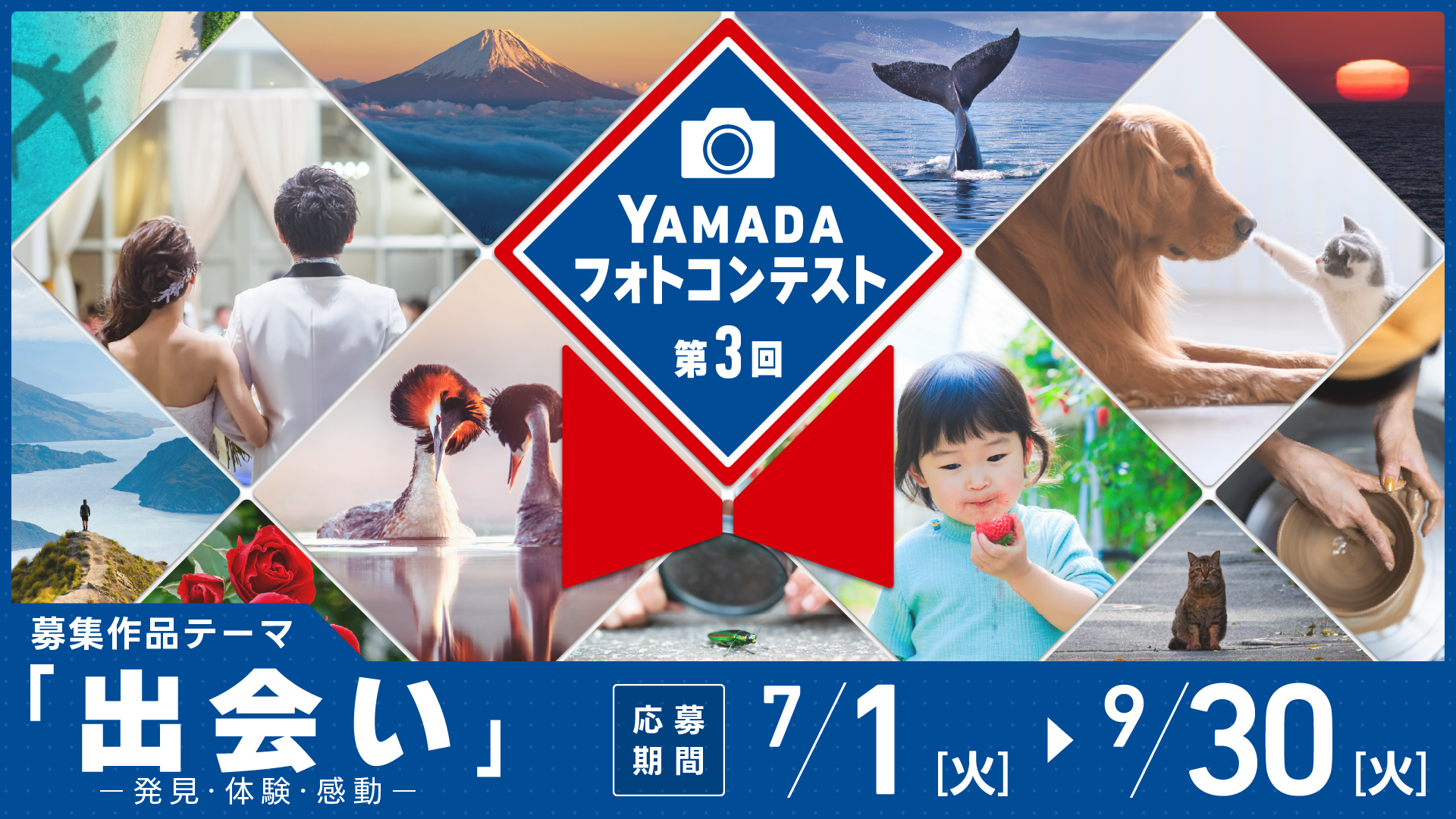 ヤマダフォトコンテスト