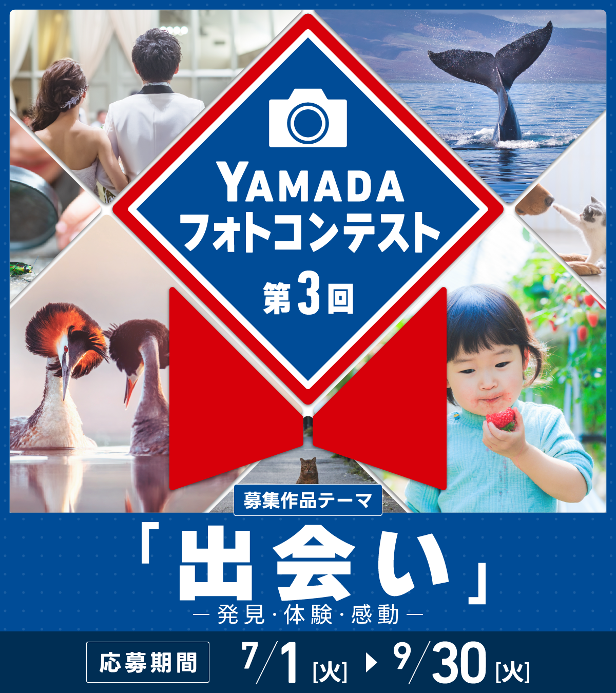 ヤマダフォトコンテスト